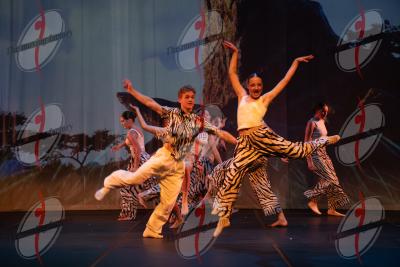SHOW_00649.jpg